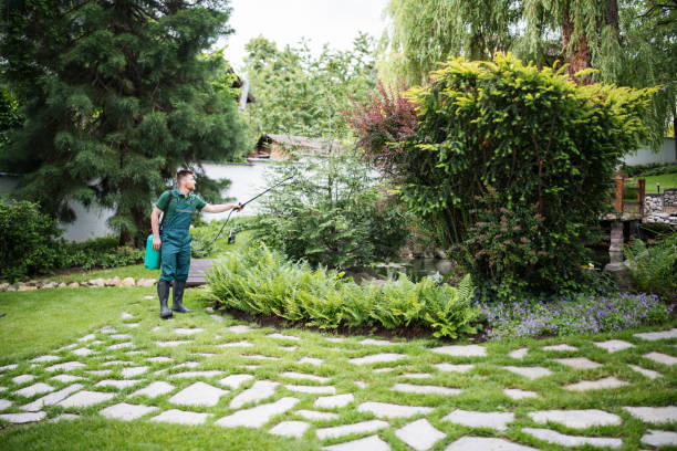 Best Mosquito Control Services  in Gonzales, LA