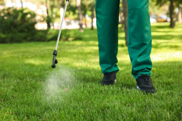 Best Wasp Removal Services  in Gonzales, LA