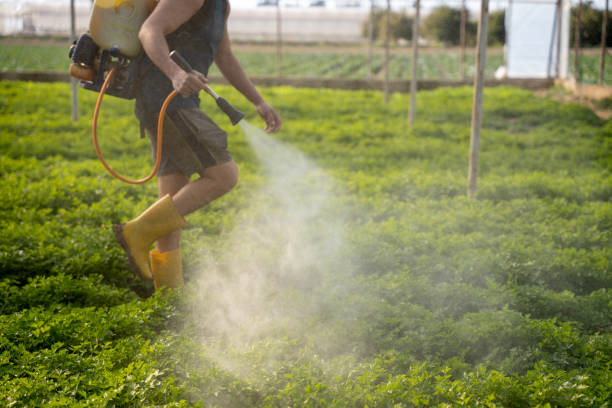 Best Exterminator Services  in Gonzales, LA