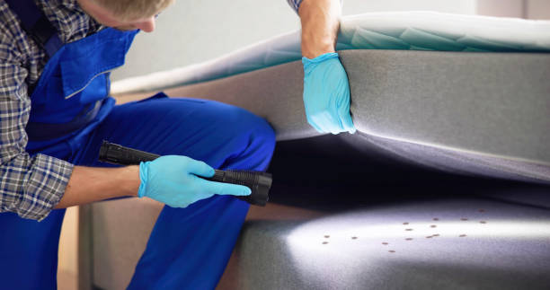 Best Best Pest Control Companies  in Gonzales, LA