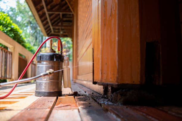 Best Pest Control Treatment  in Gonzales, LA