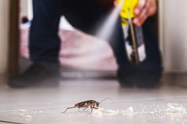 Reliable Gonzales, LA Pest Control Solutions
