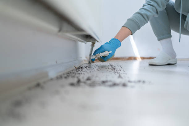 Best Cockroach Control Services  in Gonzales, LA