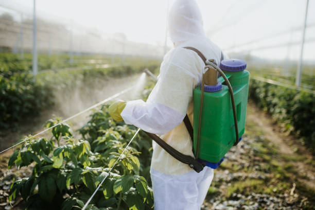 Best Residential Pest Control  in Gonzales, LA